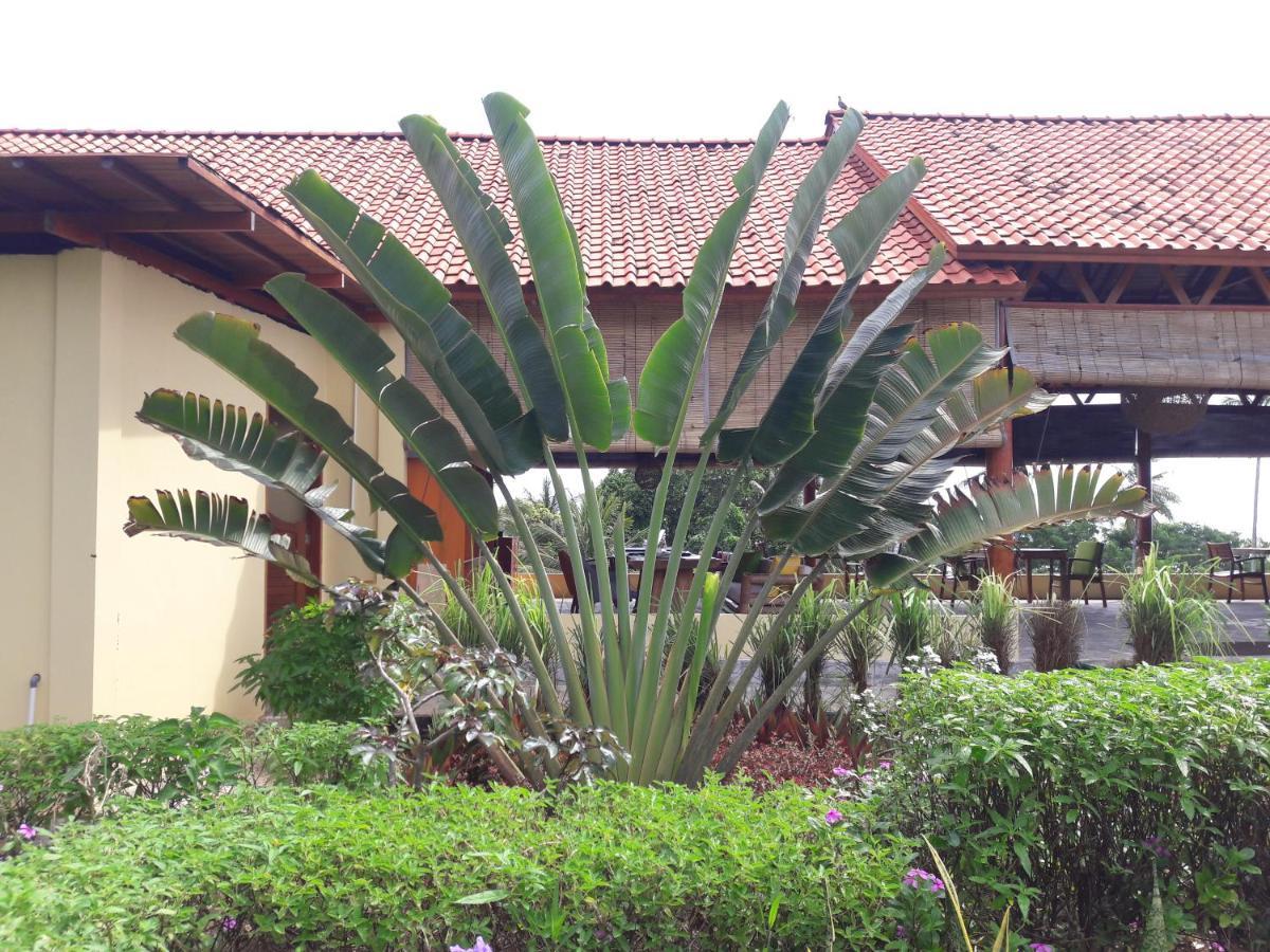Marind Dive Eco Resort Waha Bagian luar foto