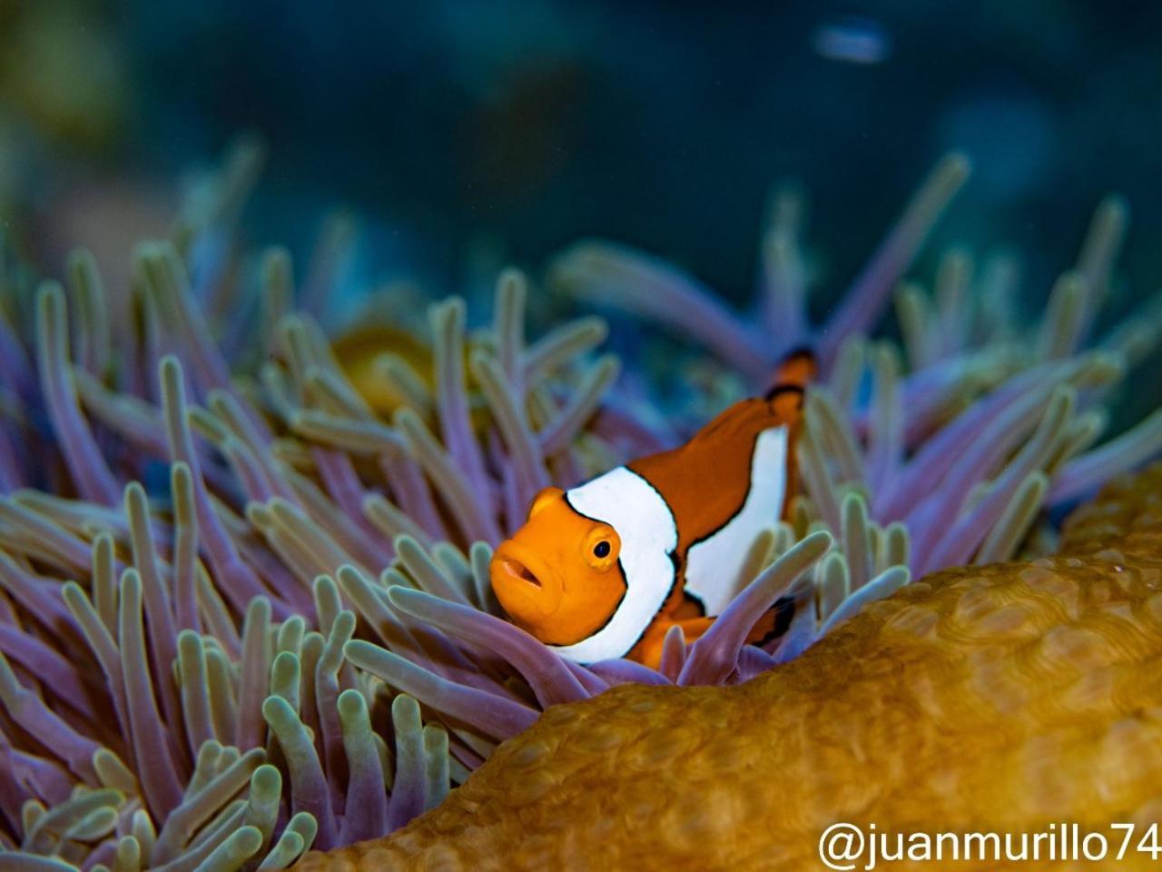 Marind Dive Eco Resort Waha Bagian luar foto